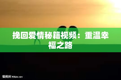 挽回爱情秘籍视频：重温幸福之路