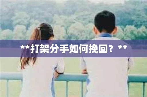 **打架分手如何挽回？**