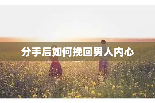 分手后如何挽回男人内心