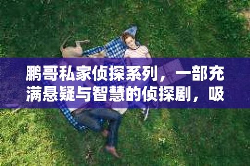 鹏哥私家侦探系列，一部充满悬疑与智慧的侦探剧，吸引了无数观众的眼球。今天，就让我带你走进这个充满神秘色彩的侦探世界，一起在线观看鹏哥私家侦探系列，感受那扣人心弦的故事情节。