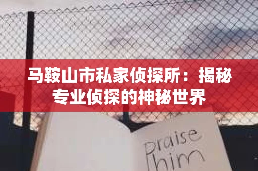 马鞍山市私家侦探所：揭秘专业侦探的神秘世界