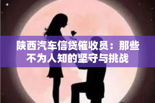 陕西汽车信贷催收员：那些不为人知的坚守与挑战