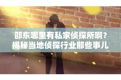 邵东哪里有私家侦探所啊？揭秘当地侦探行业那些事儿