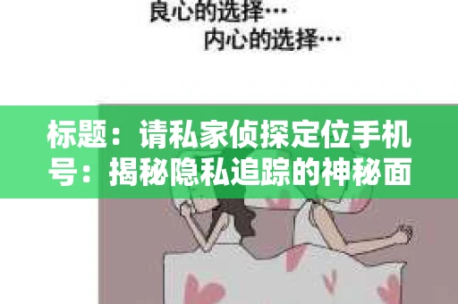 标题：请私家侦探定位手机号：揭秘隐私追踪的神秘面纱