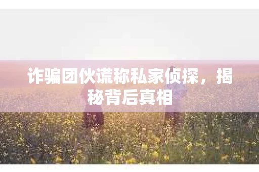 诈骗团伙谎称私家侦探，揭秘背后真相