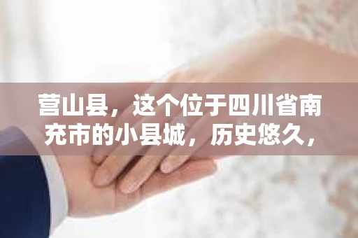 营山县，这个位于四川省南充市的小县城，历史悠久，风景秀丽。但在这个宁静的小县城里，你是否会好奇，有没有私家侦探的存在呢？今天，我就来和大家聊聊这个话题。