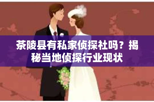 茶陵县有私家侦探社吗？揭秘当地侦探行业现状