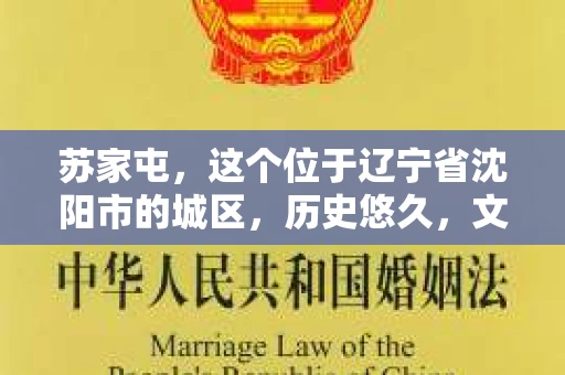 苏家屯，这个位于辽宁省沈阳市的城区，历史悠久，文化底蕴深厚。近年来，随着社会的发展，人们对于私家侦探的需求也逐渐增加。那么，苏家屯有私家侦探吗？今天，我们就来聊聊这个话题。