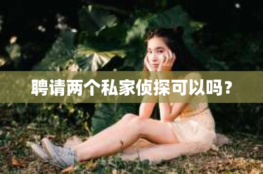 聘请两个私家侦探可以吗？