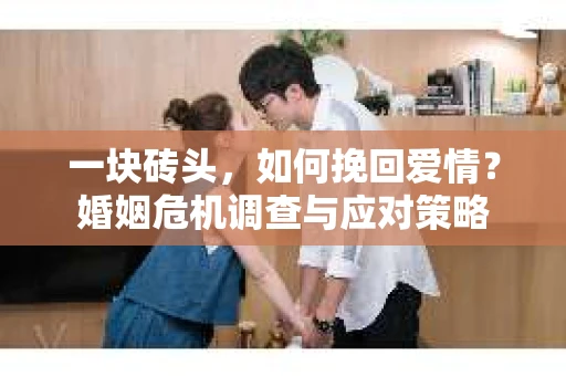 一块砖头，如何挽回爱情？婚姻危机调查与应对策略