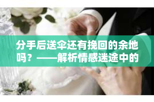 分手后送伞还有挽回的余地吗？——解析情感迷途中的决策